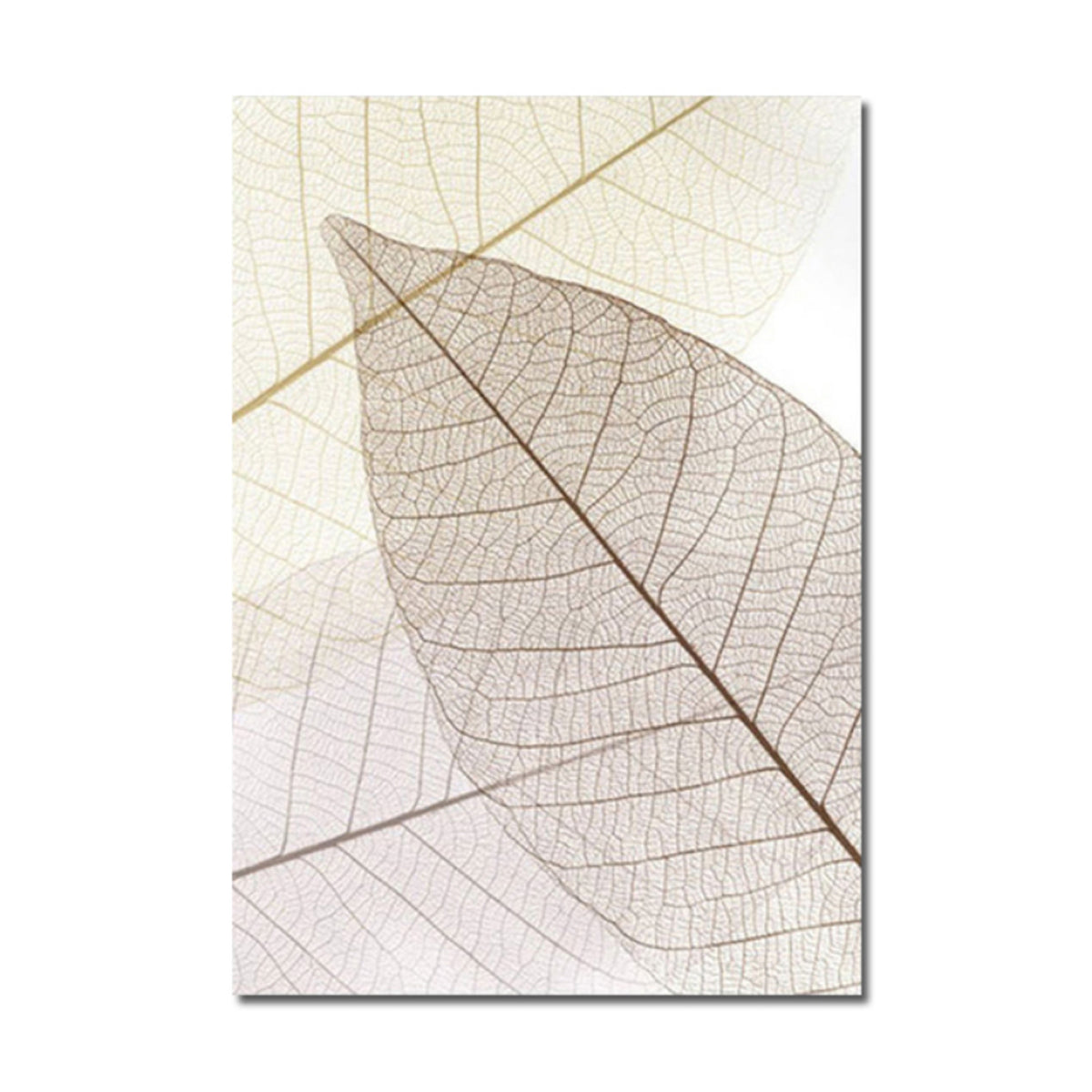 TPFLiving Luxus Poster Leinwand - Ginkgo-Blatt - Beige und Weiß - 15 verschiedene Größen - OHNE Rahmen - Modell B