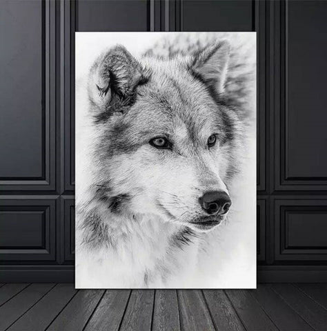 TPFLiving Poster Leinwand / Wolf Portrait in schwarz und weiß / Motiv in verschiedenen Größen - OHNE Rahmen - Modell FB847